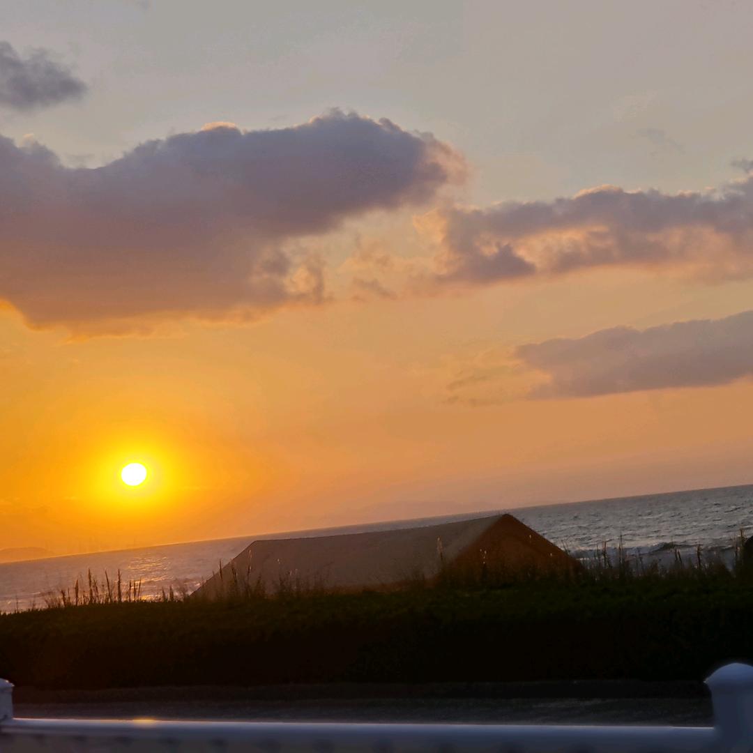 爱吃玉米（絮悼循）