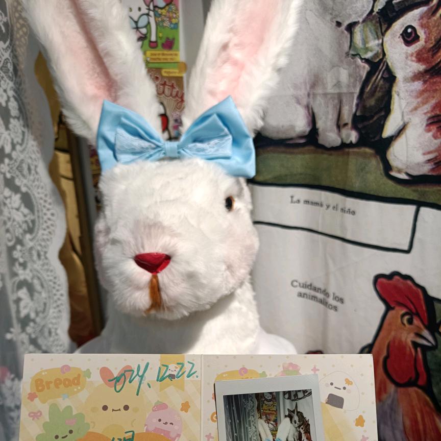 艺朵籽集小屋官方号