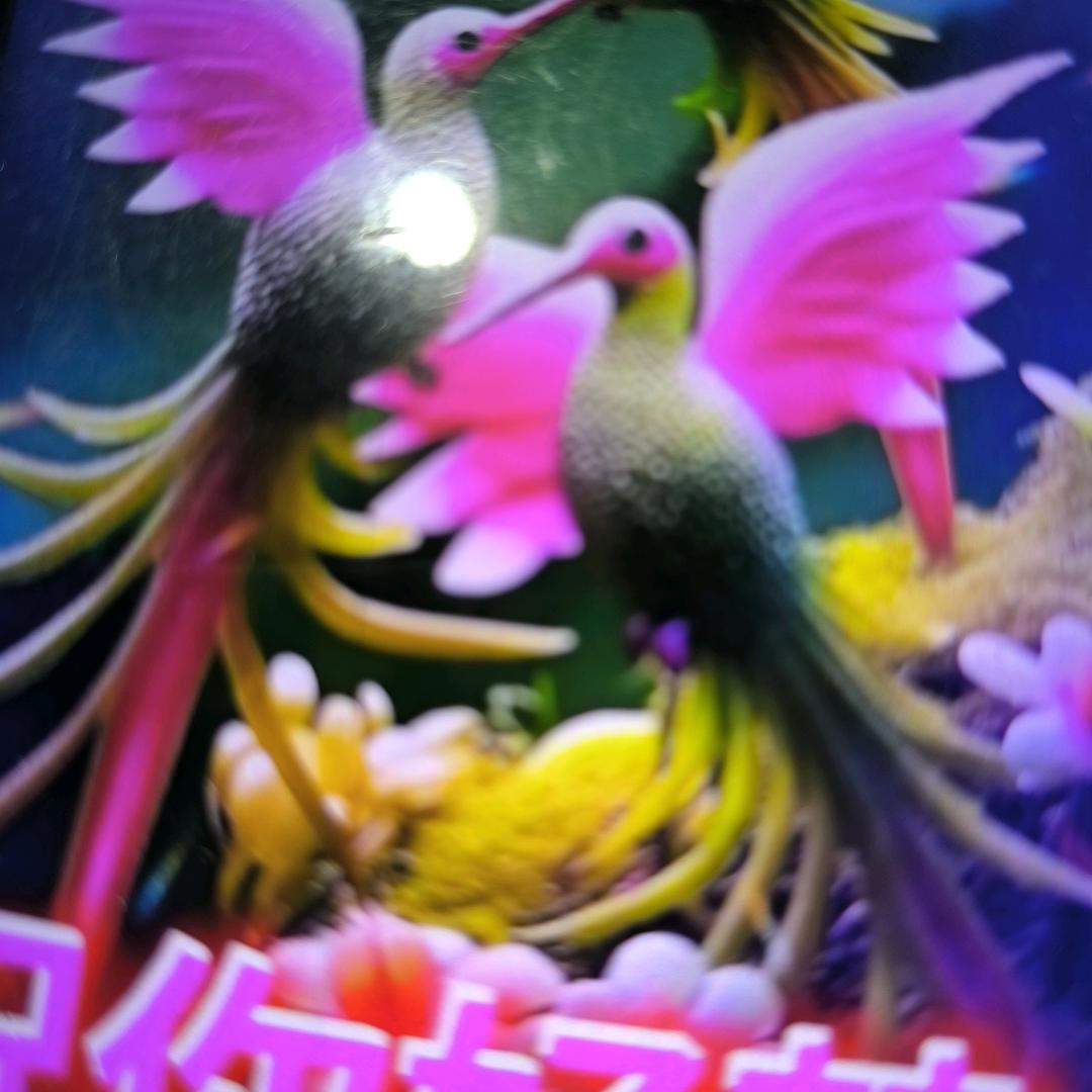 少数民族