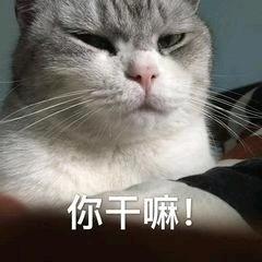 阿六