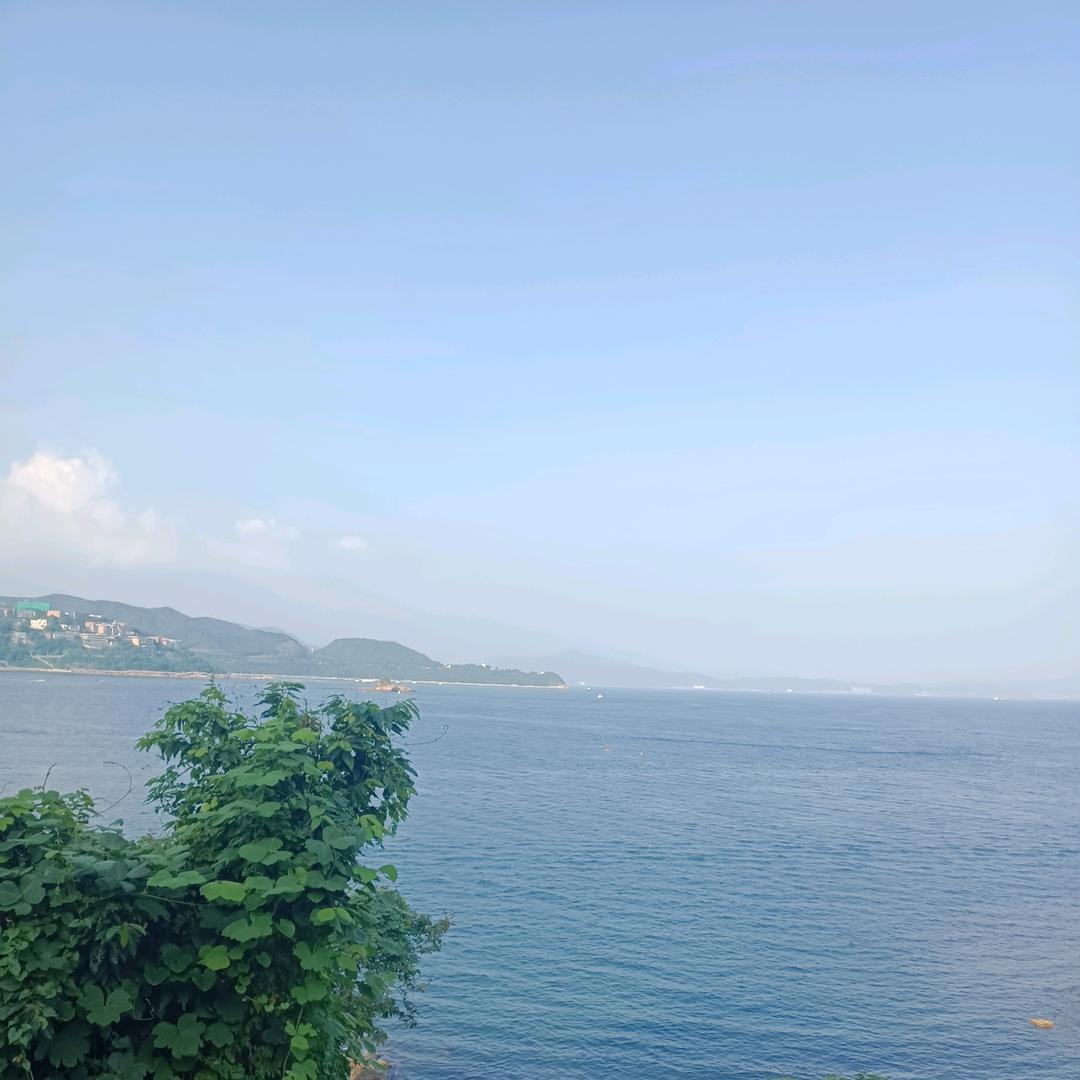 丽芳