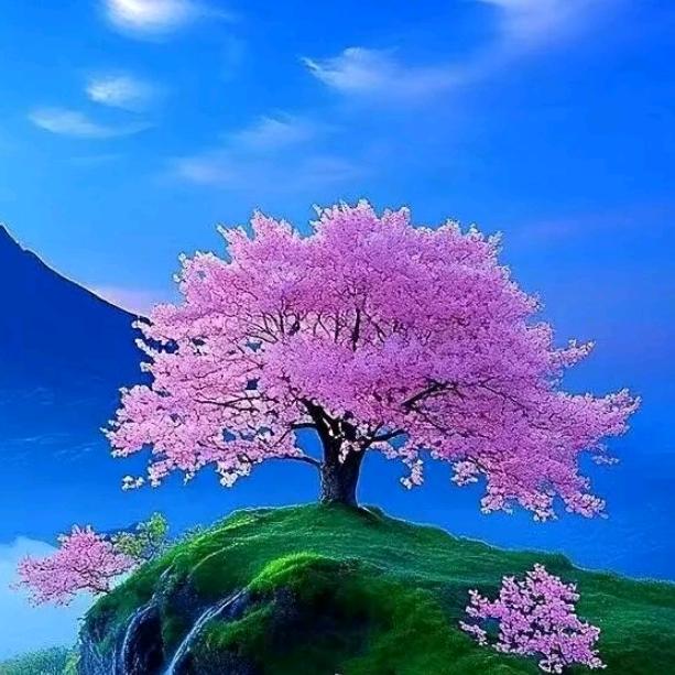 夏天
