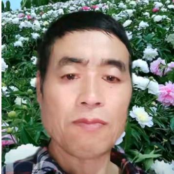 山东大哥