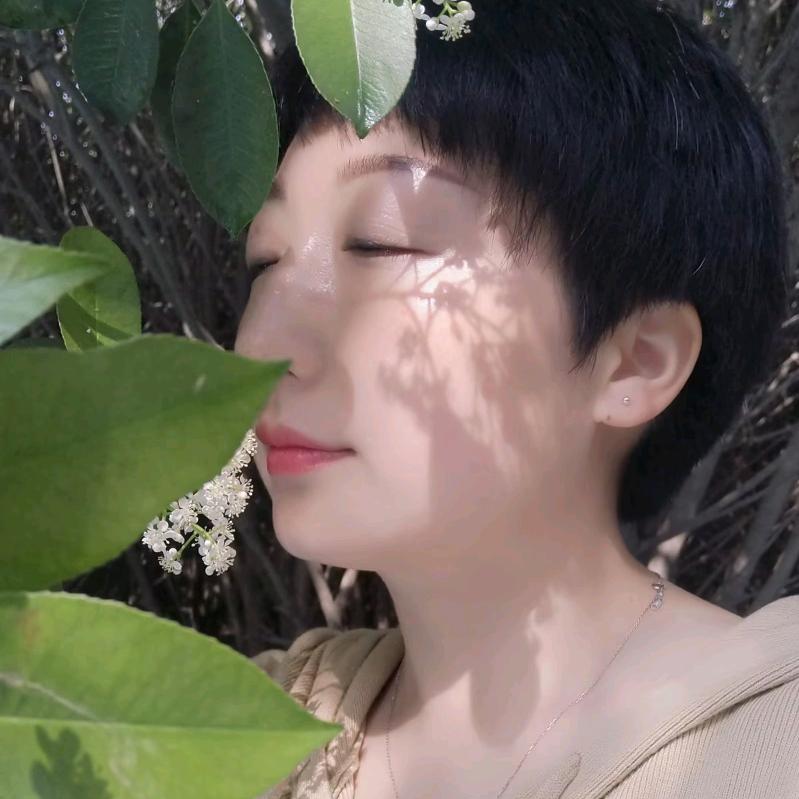 淡淡清风🍃
