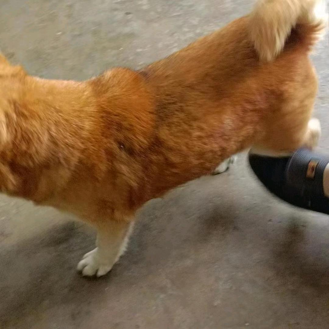 戒