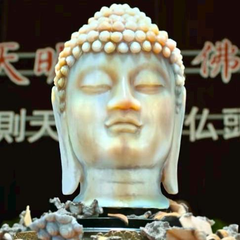 仿纯天珠领航者-皮校长