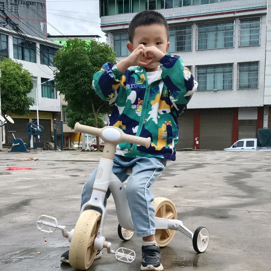 义洋饲料批发