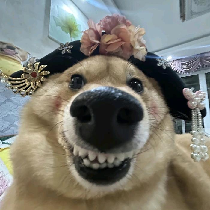悸.