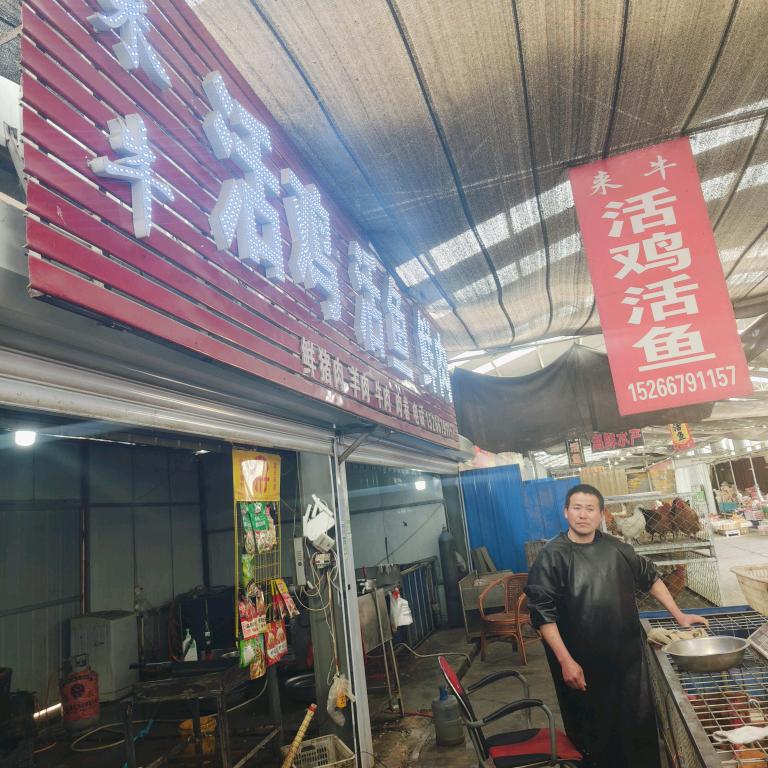 “来牛”活鸡活鱼