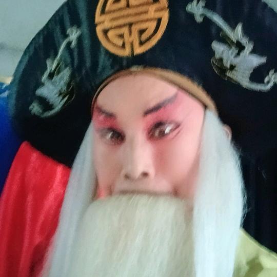 秦声飞杨