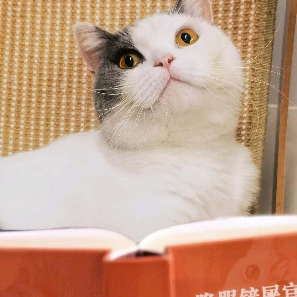 赚钱养♚嘟嘟♚