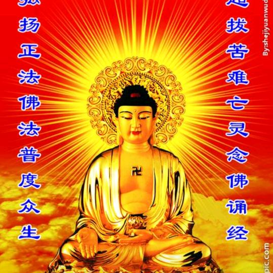 慈悲为怀🙏🙏🙏