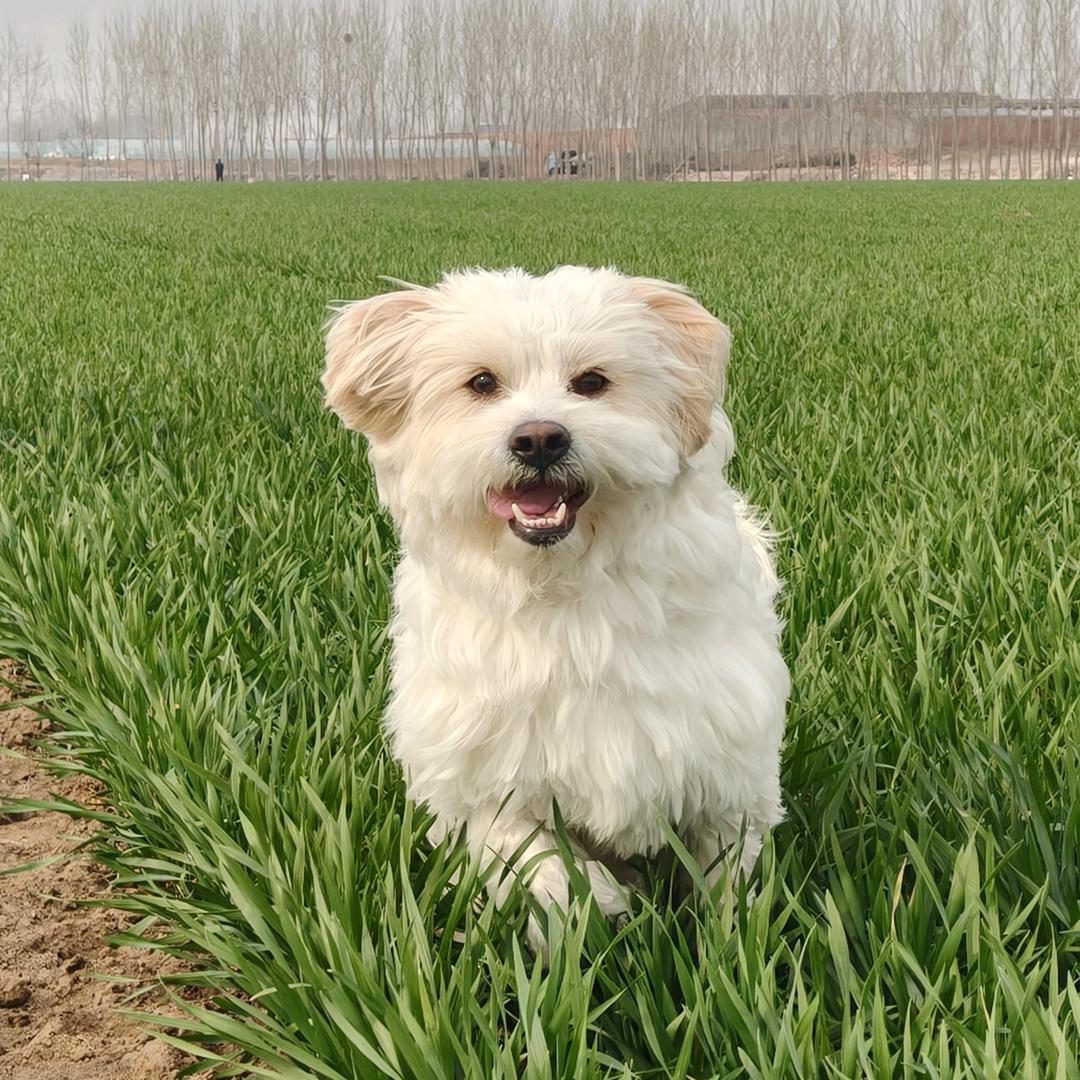 钞票好多张女士～