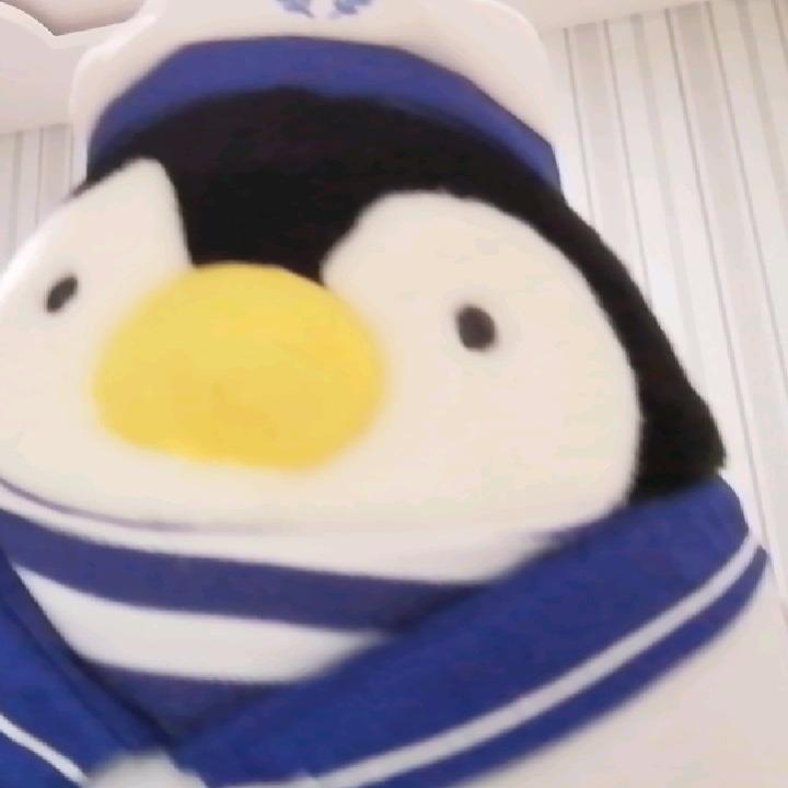 安少