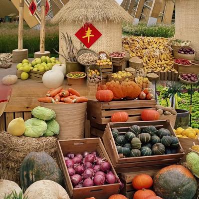 兰兰姐好物分享