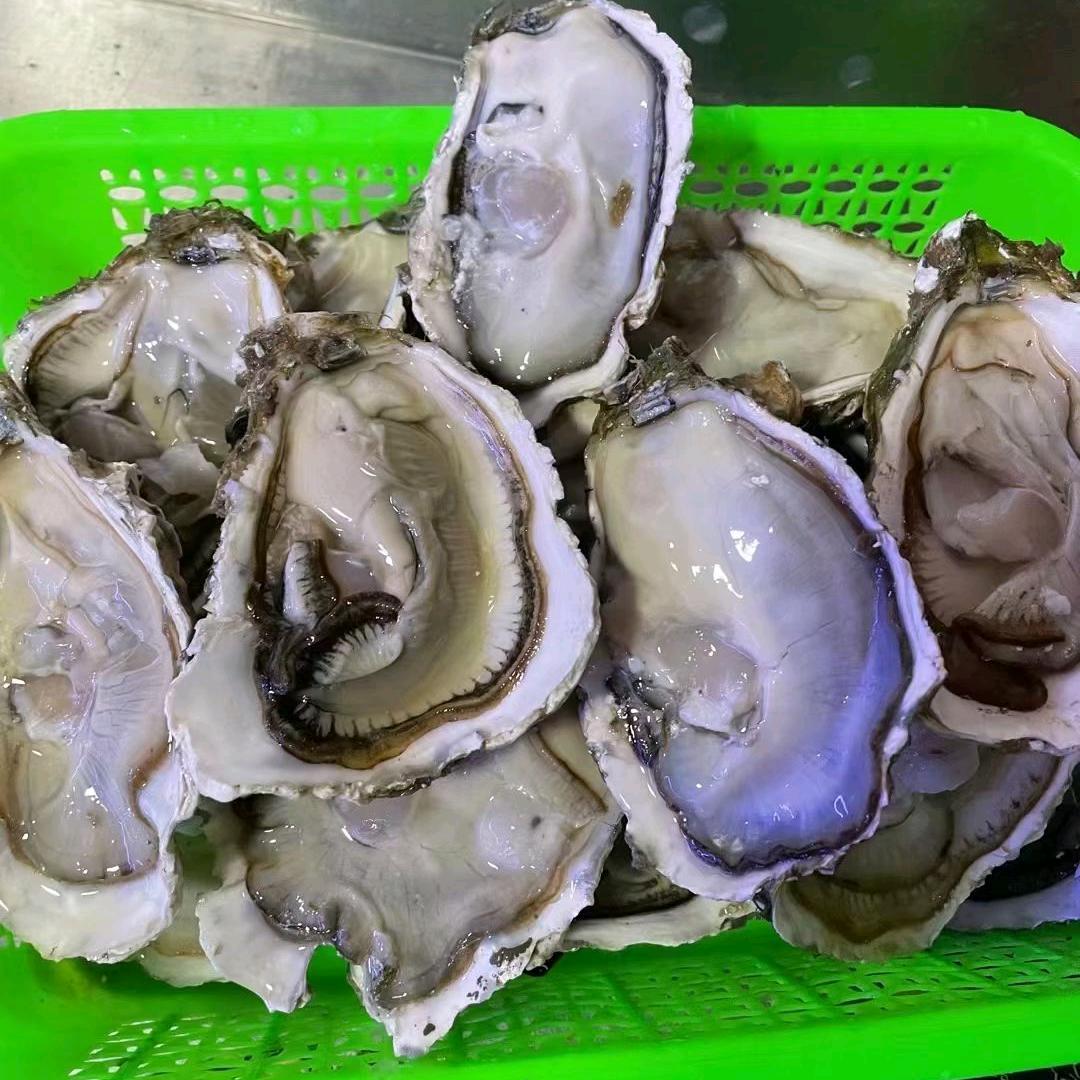 买海鲜找我🦐🦐🦐🦐