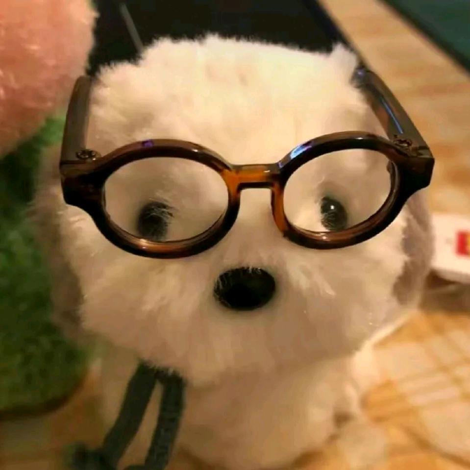 我要变成好皇帝