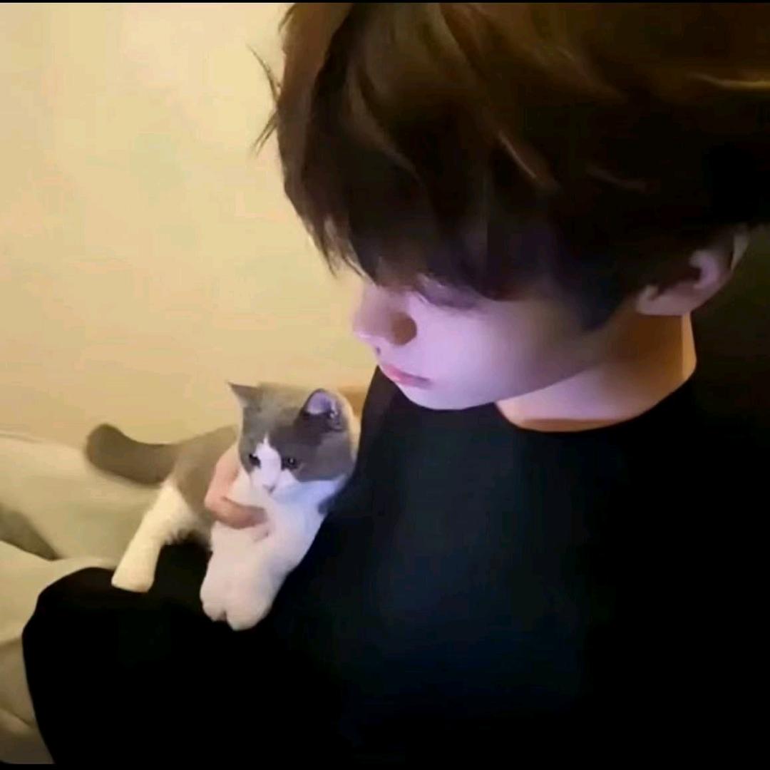 小刘♡