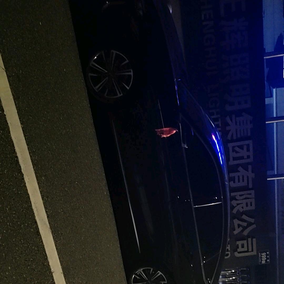 满是遗憾