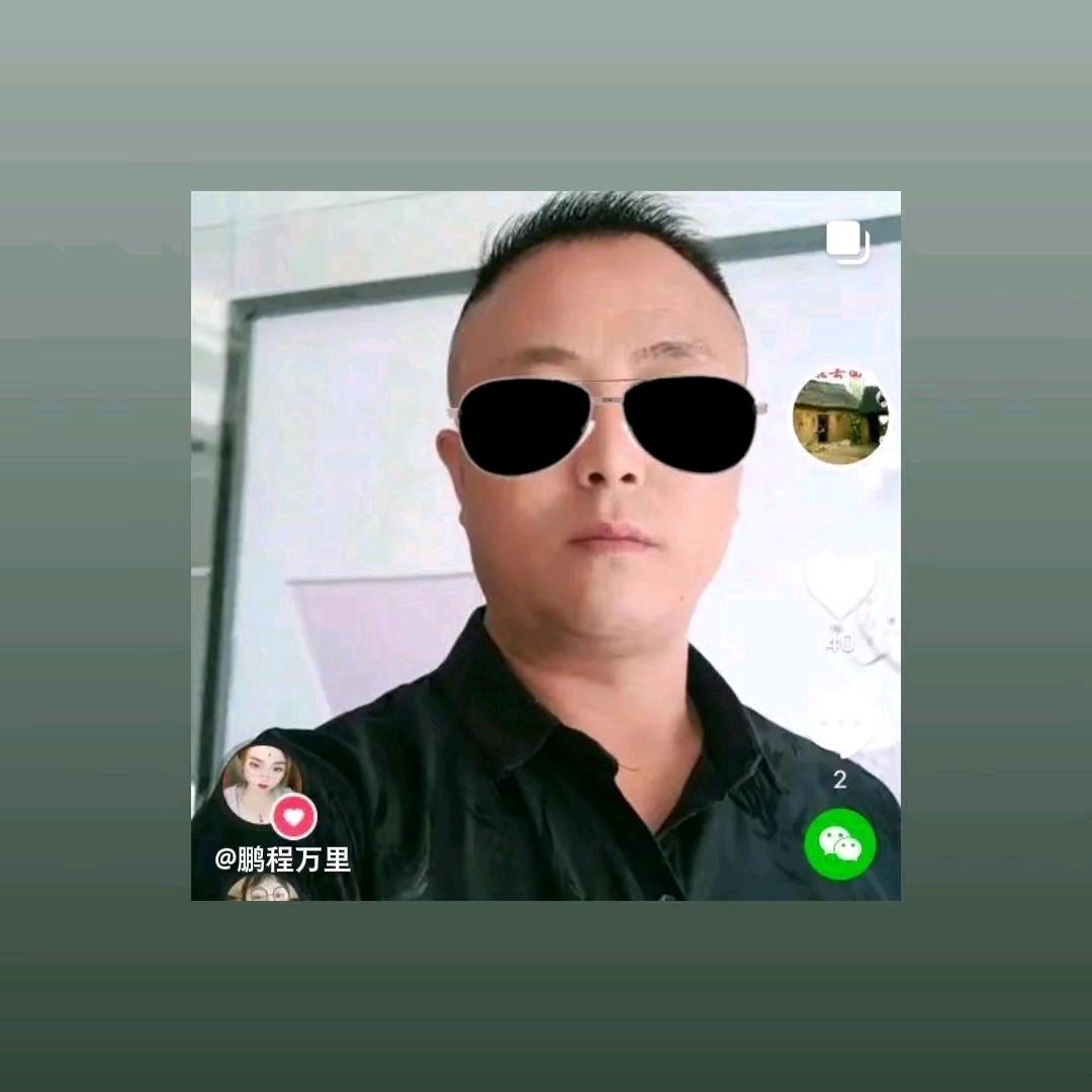 鹏程万里，