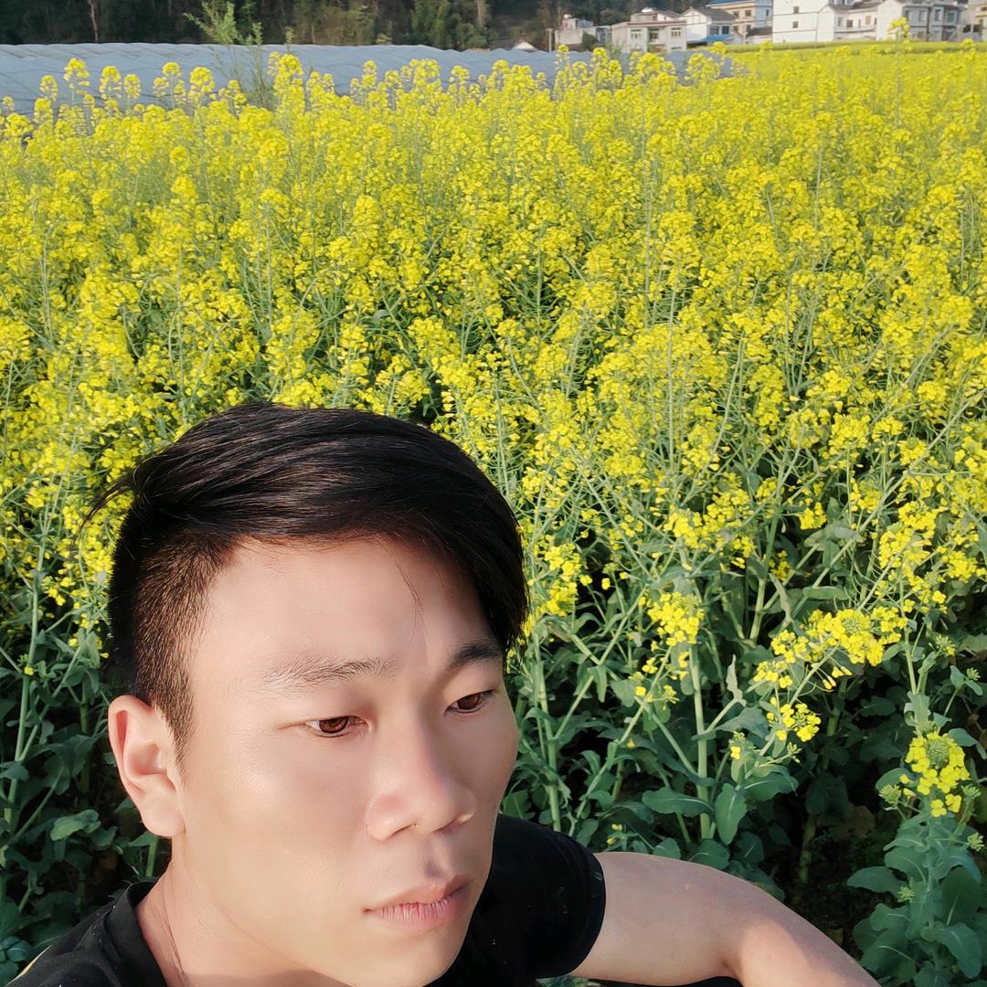 贵州凤哥