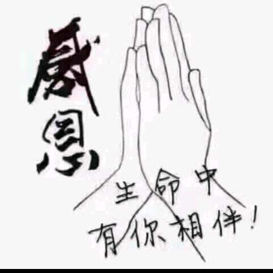 有缘遇见你