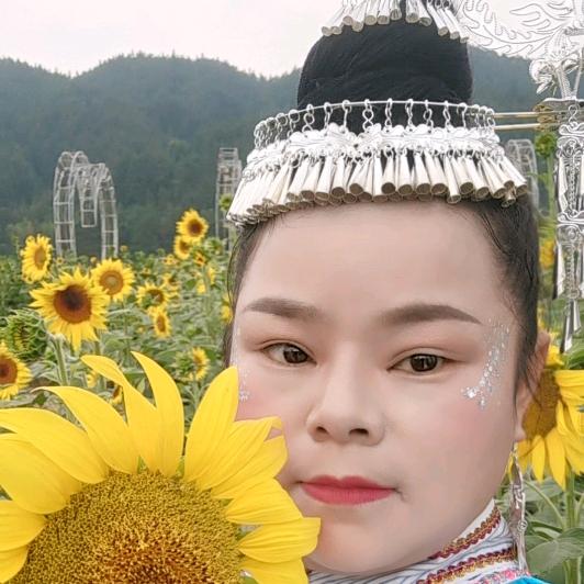 姐姐爱 生活