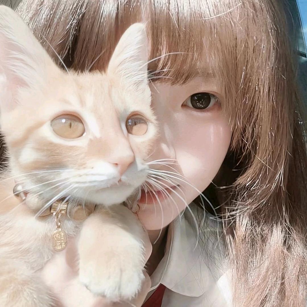 小雨临间头像