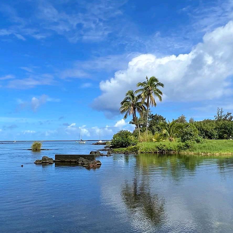 小楠优选百货@抖音
