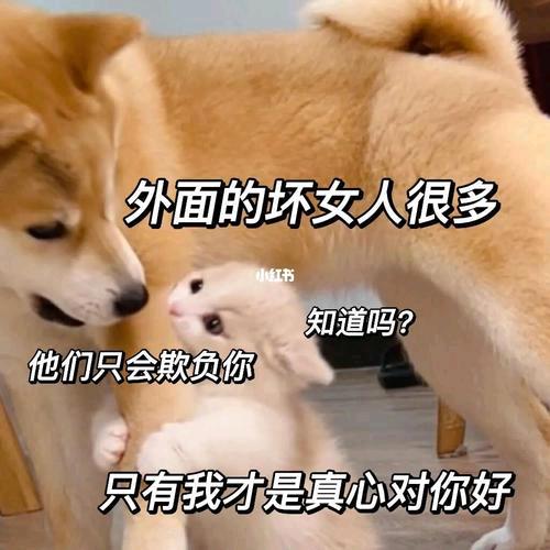 佛山高德跑起来