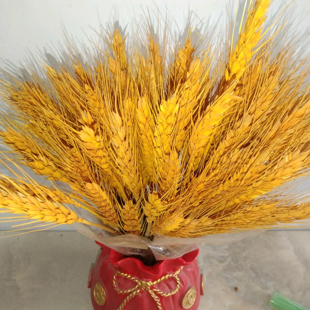 万事如意（丽姐）