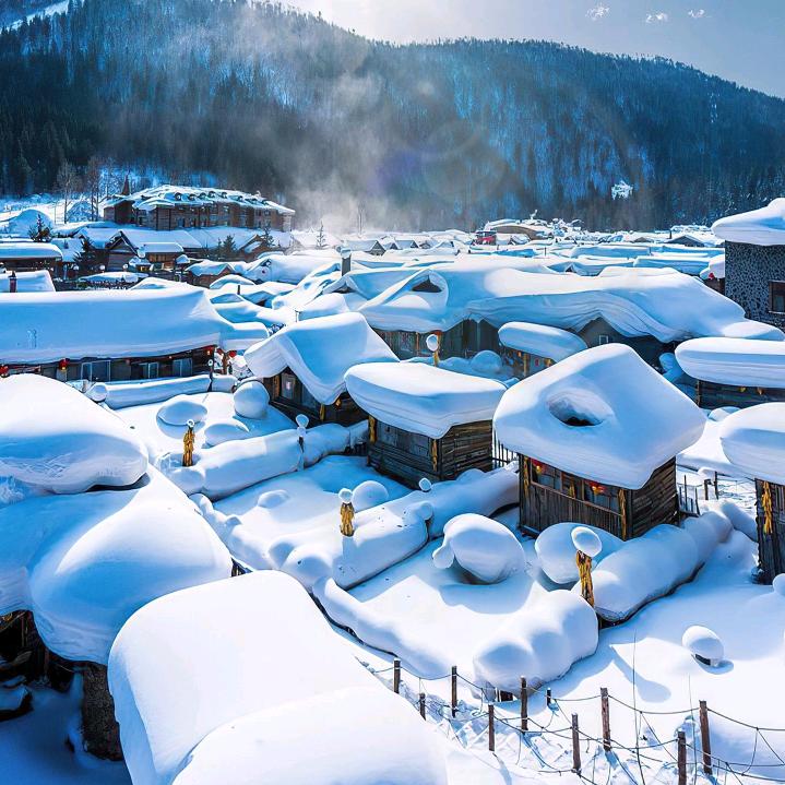 来哥带你去旅行