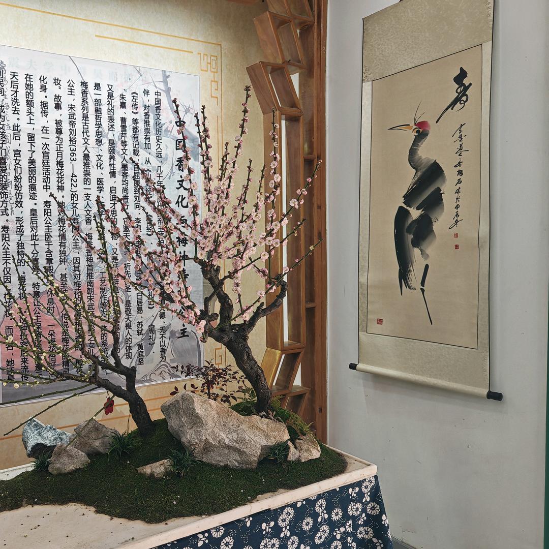 🍁天涯观沧海⭐️