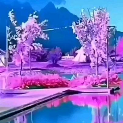老头