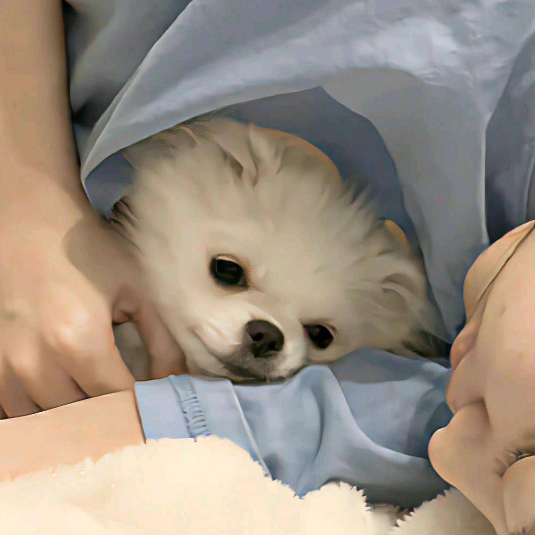 💤💤💤💤💤💤 ᭄