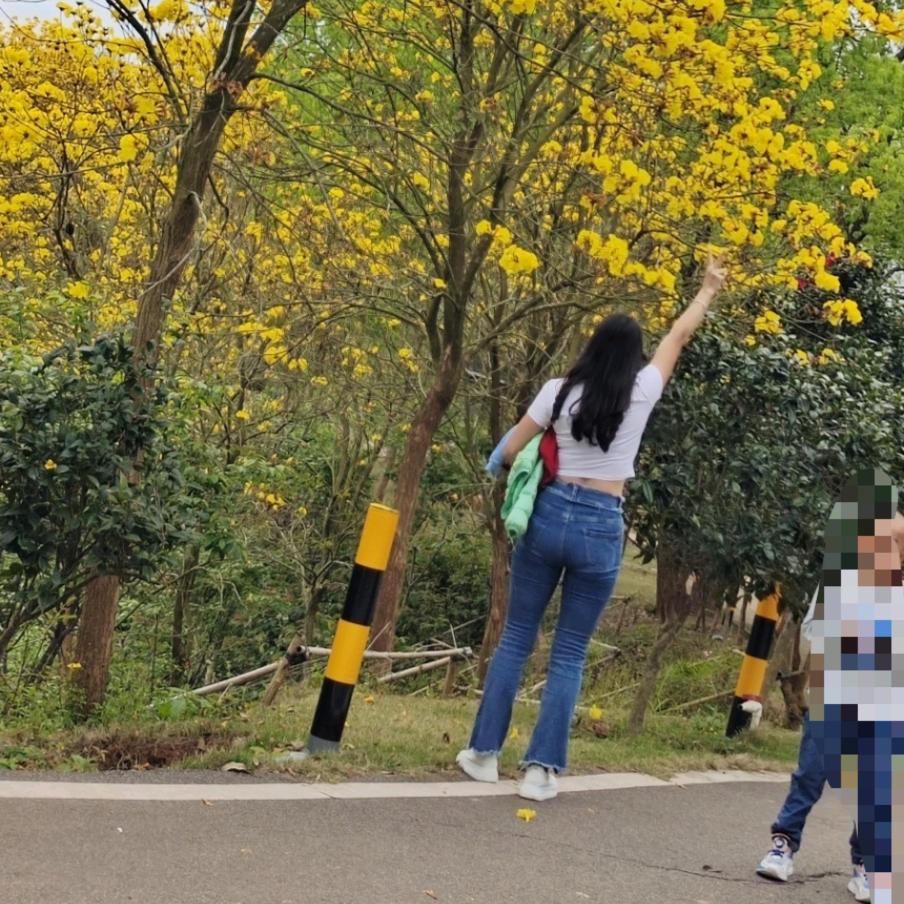 ღ᭄🍁余生🌾我🐬独行ღ᭄ 🍃