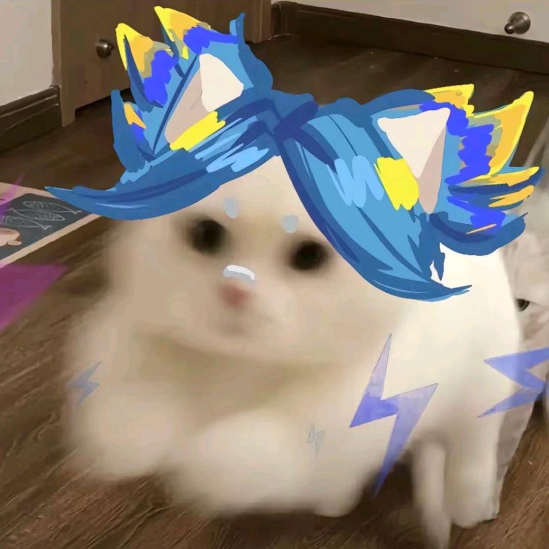 QAQ。