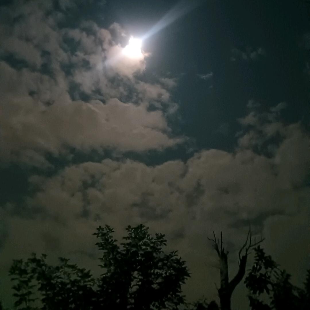 望月兴叹