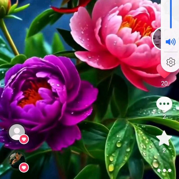 花木兰传奇