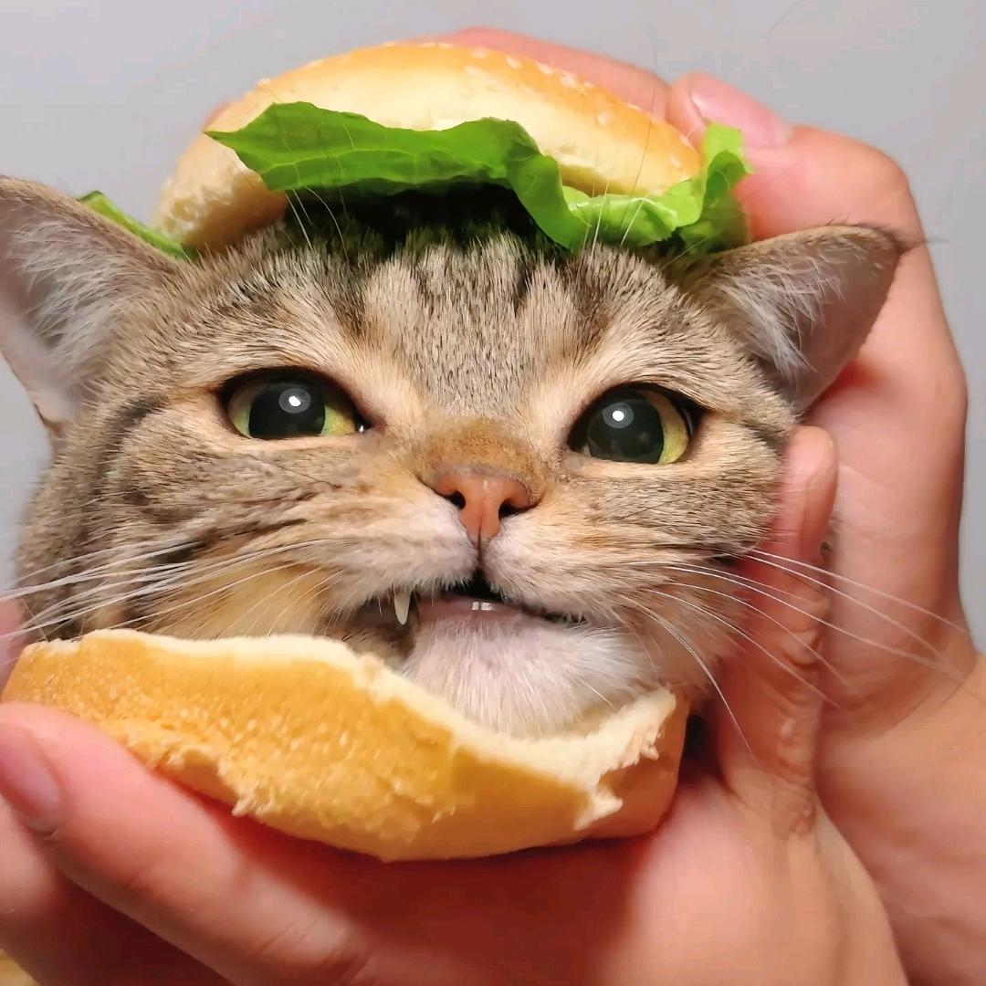 Hanbao
