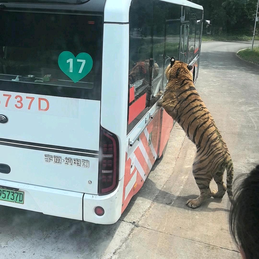 永不放弃