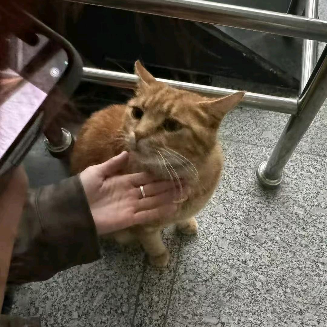 婉