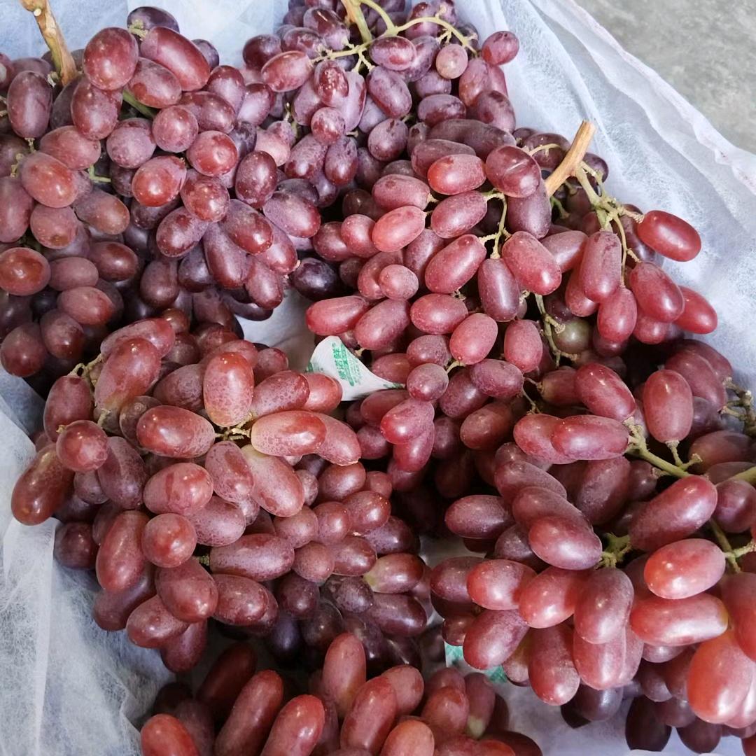 舍得，顺其自然