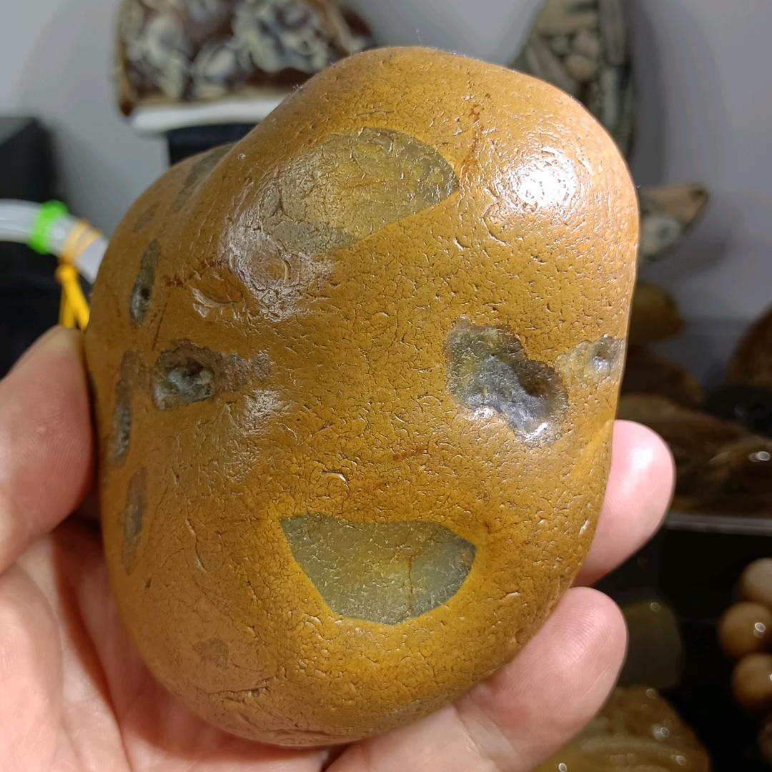 觉海慈航a