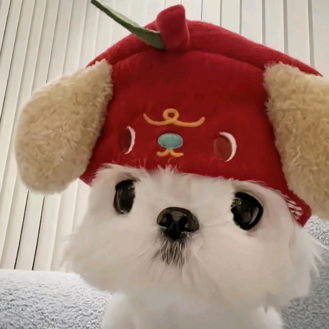 阿旭