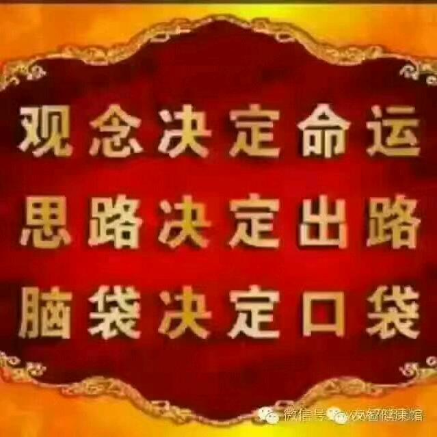 就业指导  郑老师