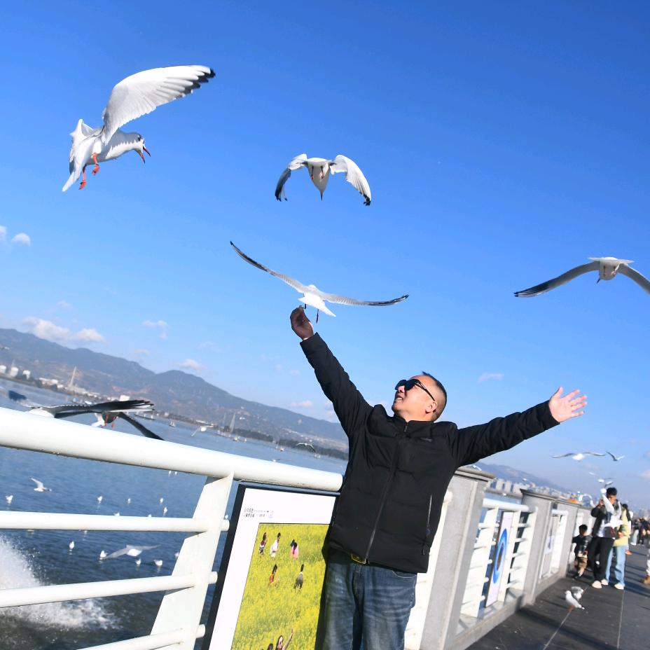 王志华