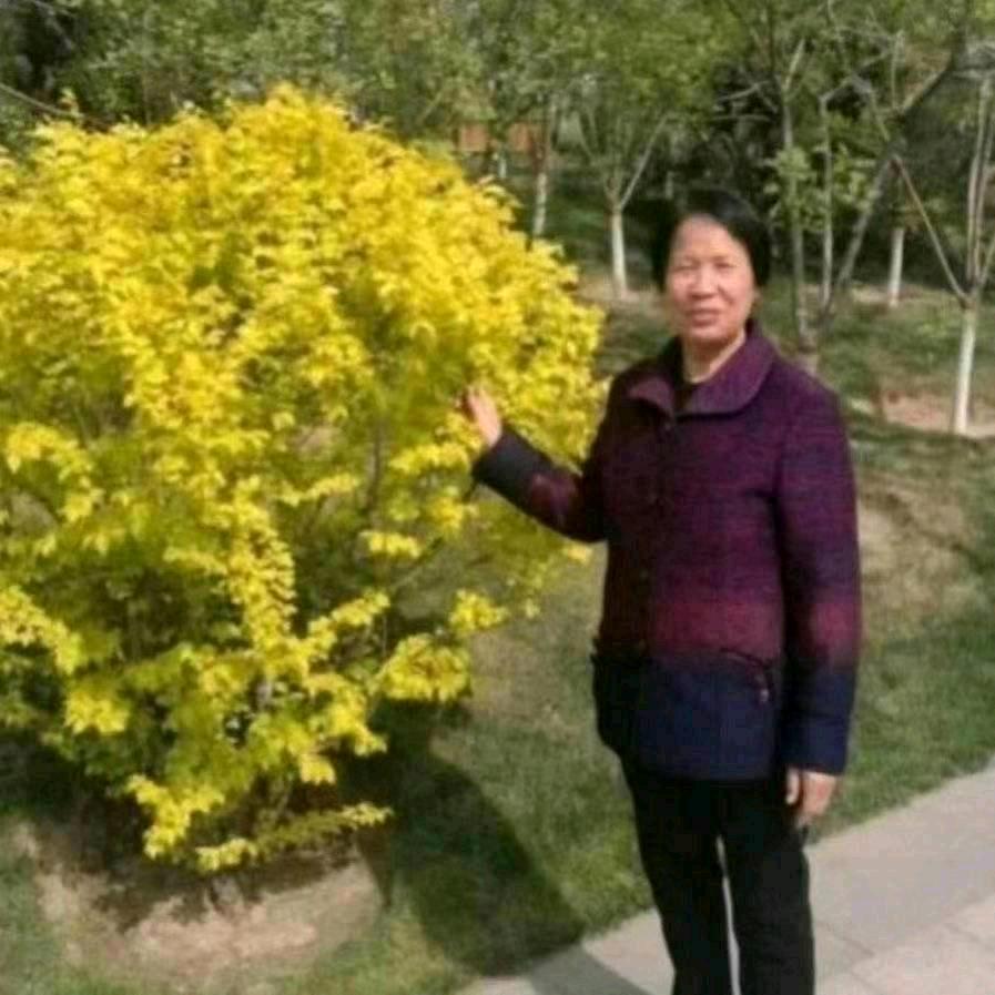 笑口常开刘66