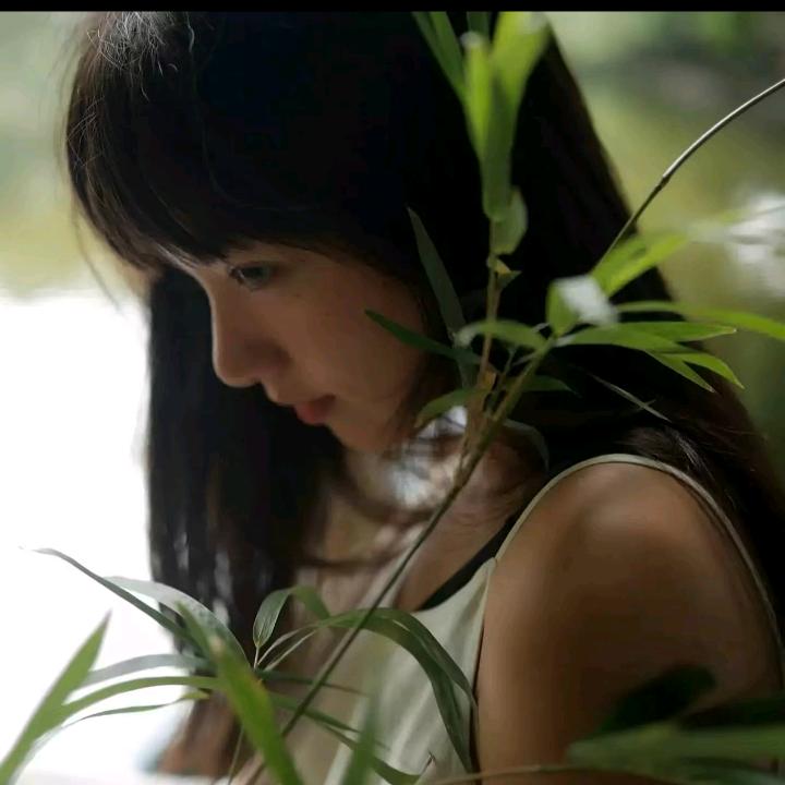 我讨厌骗子