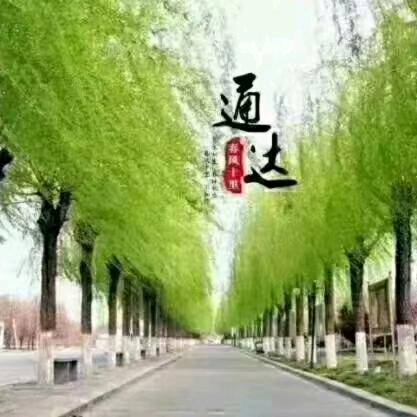 荣庆通达驾校张晓伟
